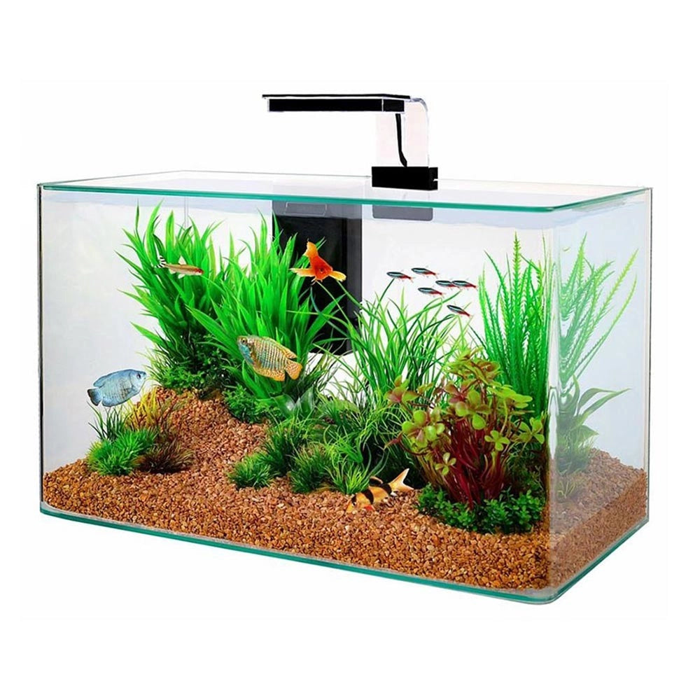 Zolux Clear 40 - acquario 17L cm40x20x25h con filtro interno e plafoniera LED Colore: Nero