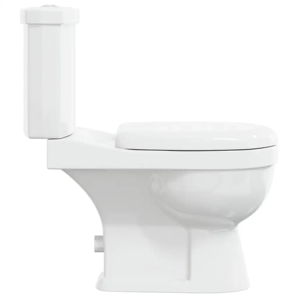 Toilette con Cisterna Bianca 240549