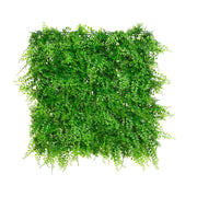 Siepe verde felce