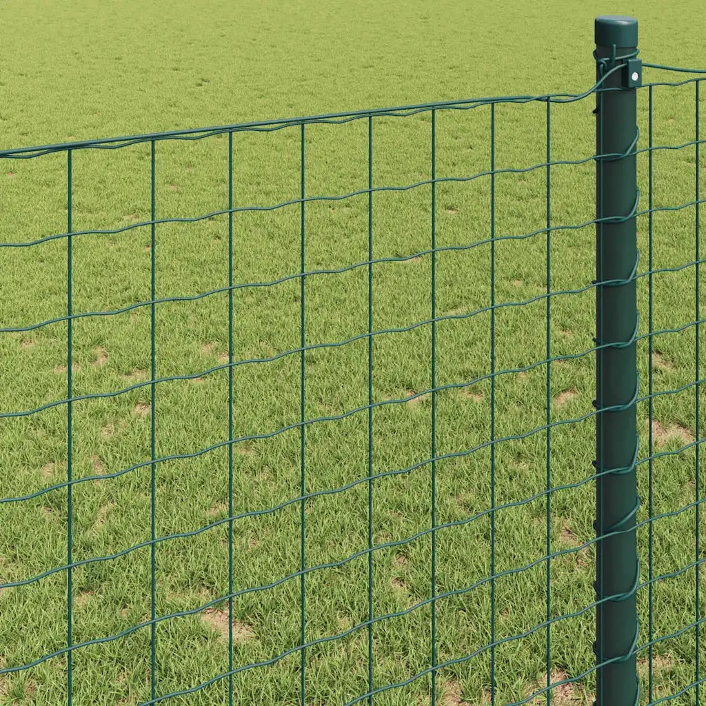 Recinzione Euro Verde 0.8 x 25 m Ferro rivestito in PVC 42004372