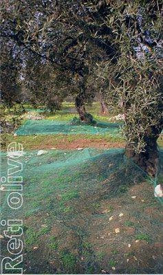 Rete antispina olive occhiellata Taglia: 5 X 10