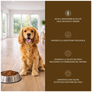 OPTIMO CROCCHETTE PER CANE CON POLLO IN FORMATO DA 10 KG