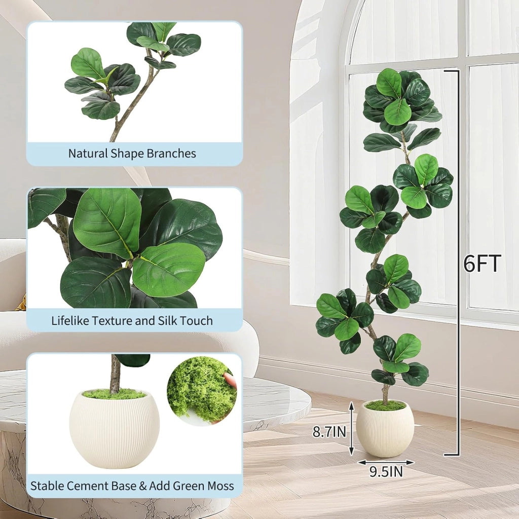 Ficus Lyrata Artificiale 180 cm con Vaso Bianco Moderno e Muschio Decorativo