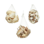 Conchiglie decorative 14x14x8 cm