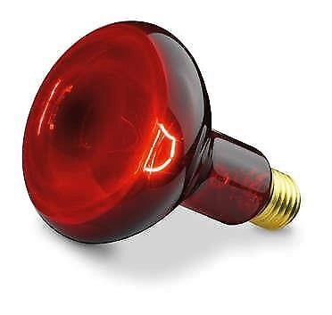 Beurer 61451 lampada a infrarossi 100 W