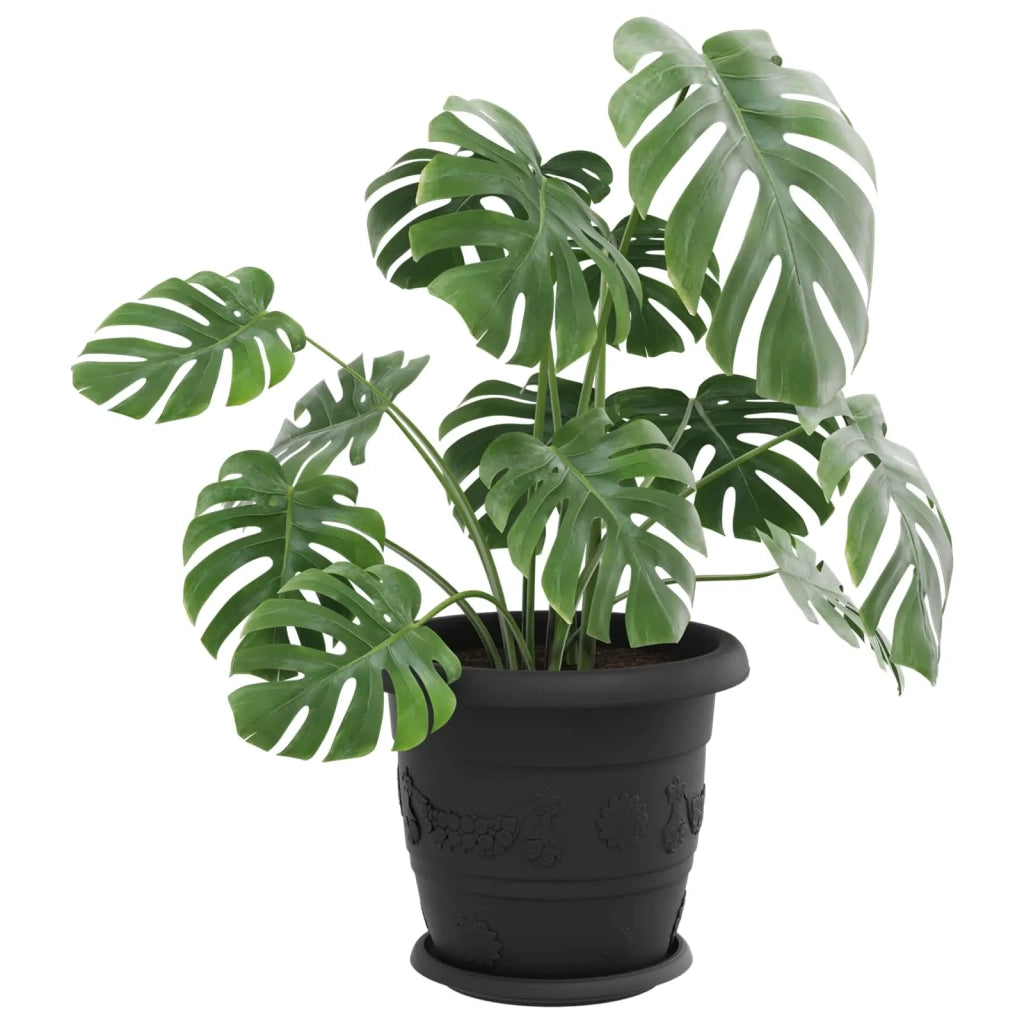 Vasi per Piante 24 pcs Nero Ø 26 x 21.5 cm Plastica