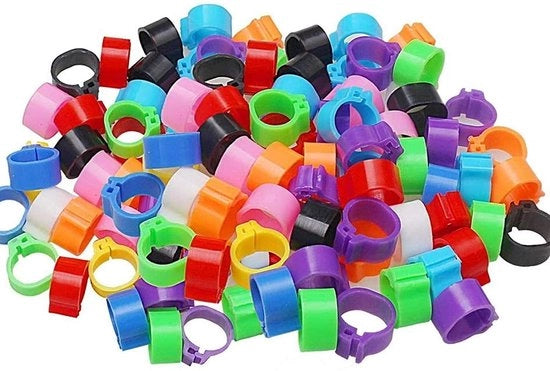 Anelli per uccelli - Identificazione - Materiale plastico duraturo - 200 pezzi - Anelli per polli - Per colombi e quaglie - Sicuri per uccelli