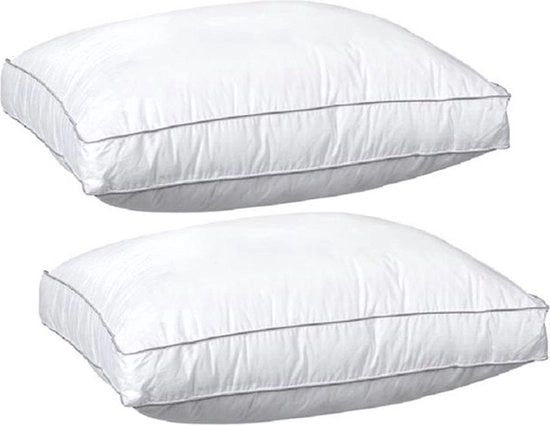 Cuscino da box - Cuscino principale - 50x60x10 cm - 2 pezzi