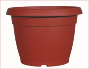 VASO ROSSO SIMILCOTTO SPAZZOLATO D22