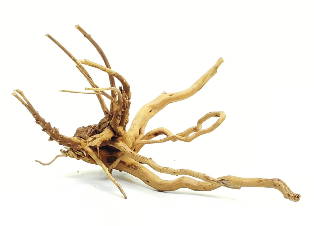 DecorLine Spider Wood Foto Indicativa - Legni decorativi naturali per acqua dolce Modello: S (10-20cm)