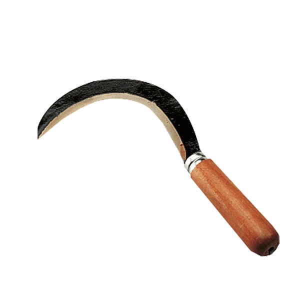 Roncoletta Piccola - Agef