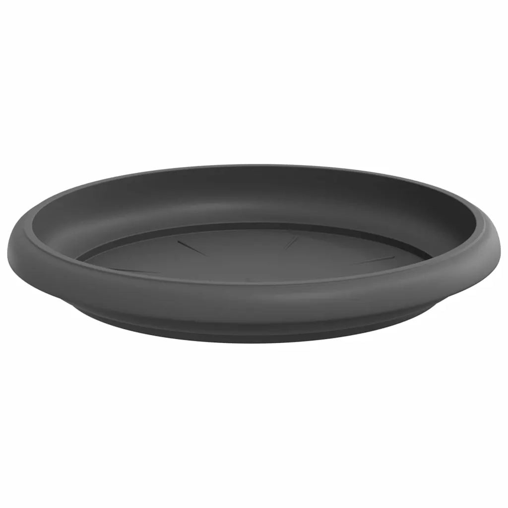 Vassoio Rotondo per Fiori 6 pcs Nero Ø 14 x 2 cm Plastica 42020306