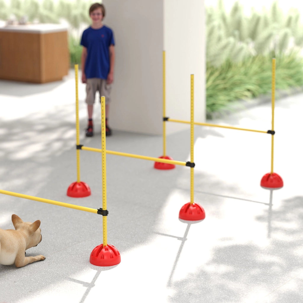 Set per Agility per Cani ¨C Minimal ¨C Giallo