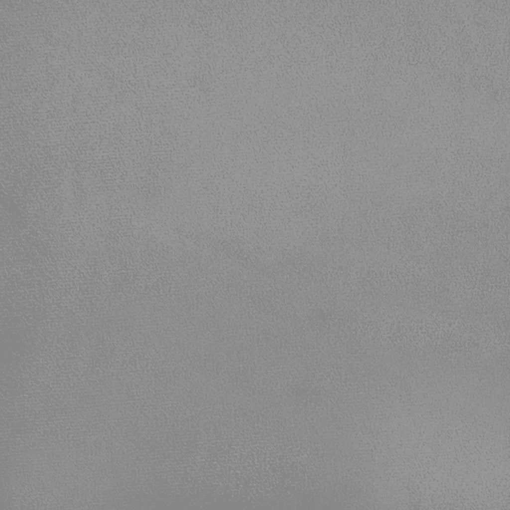 Divano letto | Sof¨¤ letto | Letto singolo a 2 Posti con 2 Cuscini Grigio Chiaro in Velluto