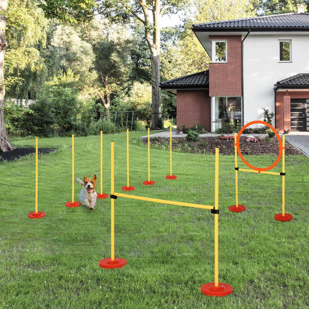 Set Agility per Cani 3 Pezzi ¨C Minimal ¨C Grigio/Verde